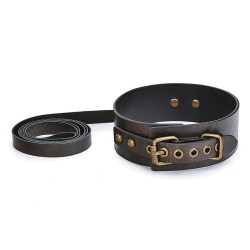 vintage-style-collar-with-leash.jpg